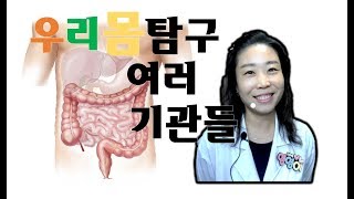 우리몸의 여러 기관들