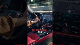 2025 Lexus NX #shortsvideo #shorts