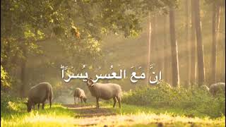surah alam nashrah | Surah al inshirah (Quran recitation)beautiful voice
