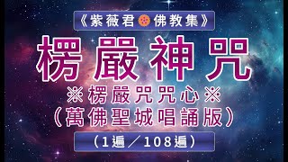 楞嚴咒楞嚴咒心 （萬佛聖城）快誦版-紫薇君「佛教」圓滿集