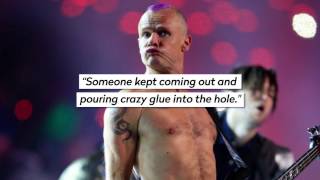 [TRUE STORY] ''RHCP's Flea was literally screaming of pain in between songs''