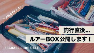 【初心者必見】河川帰りのルアーBOX公開しちゃいます！あんなルアーやこんなルアーまで、、【シーバス】【イナッコ】