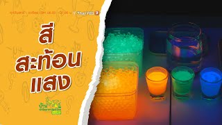 สีสะท้อนแสง : บ้านนักวิทยาศาสตร์น้อย (22 พ.ย. 63)