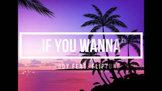 Beats by Eddy feat. FlipTunesMusic "If You Wanna" (With Hook)