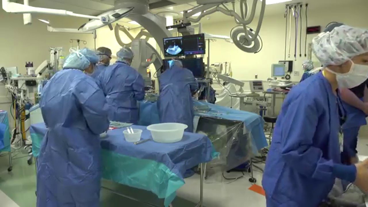 Transcatheter Aortic Valve Replacement Tavr Youtube