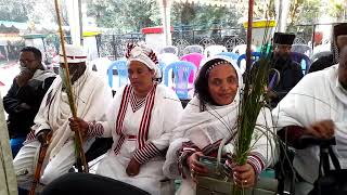 ቅዱስ ፓትርያሪኩ ወደ ቅድስት ሀገራቸው በሰላም ተመለሱ