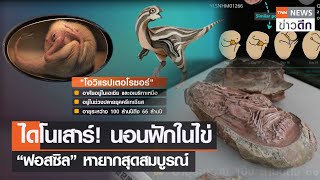 ไดโนเสาร์! นอนฟักในไข่  “ฟอสซิล” หายากสุดสมบูรณ์  | TNN ข่าวดึก | 23 ธ.ค. 64