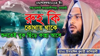 রুহ কি কোথায় থাকে শুনতে বুক ছিঁড়ে কান্না আসে। মাওঃ ইসমাঈল বুখারী কাশিয়ানী Ismail bukhari kashiani