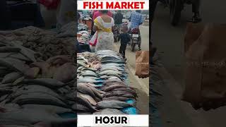 HOSUR | FISH MARKET | OPP TALUK OFFICE| STS HOSUR SHORTS