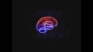 Brain Hologram Particulars Footage (Emotions)