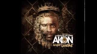 AKON - twinkle in youre eye 2013