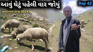 આવું ઘેટું પહેલી વાર જોયું  😱 || અમરનાથ યાત્રા 2024 || Gujarat To Amarnath Yatra || Amrnath Yatra ‼️