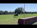 irish_full gallop farm march ht xc