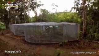 Mariposario Paway y casa en el arbol  Mocoa Putumayo Turismo verde Amazonico