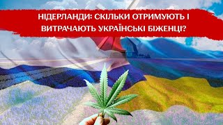 Українці в Нідерландах: де живуть та які отримують виплати – подробиці