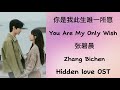 You Are My Only Wish [你是我此生唯一所愿] - Zhang Bichen ( 张碧晨)