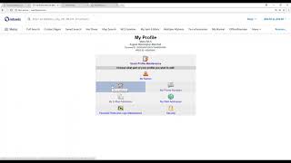 Customizing FlexMLS Your Way