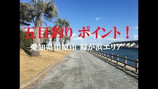 【釣り場ポイント】　渥美半島　緑が浜海釣り公園