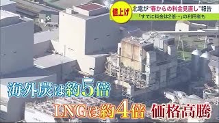 「すでに電気代は2倍近くに上昇」そんななか北海道電力は電気料金の\