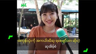 အကုန်လုံးကို အကယ်ဒမီဆု ရစေချင်တာ ဆိုတဲ့ ဆုအိမ့်စံ