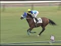 ラスティーク　４戦目（本馬場入場）