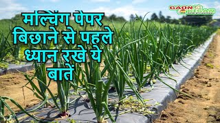 मल्चिंग पेपर बिछाने से पहले ध्यान रखे ये बातें ||  Mulching Paper