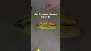 What Do You See
