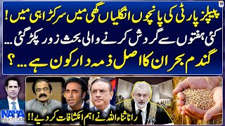 Constitutional Amendment For SC Judges - Wheat Crisis - Shahzad Iqbal - Naya Pakistan - Geo News