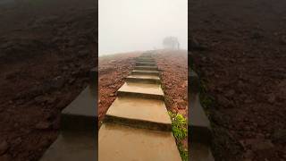 Best place to visit 🥰🥵| Coorg |madalpatti | mugilpete| #viral #viralvideo #trending #nature