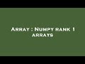 Array : Numpy rank 1 arrays