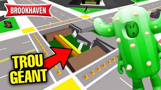 CACTUS ET LE TROU GÉANT DE BROOKHAVEN ! ROBLOX - BROOKHAVEN RP