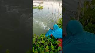 কিভাবে মাছ দরছে দেখুন #nature #hugefish #fish #fishingmaster #islamicscholar