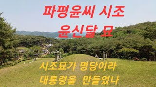 파평윤씨 시조 윤신달 묘역을 간산하고 명당여부를 살펴봅니다.묘는 봉강재 재실 뒤(포항시 기계면 봉계리 산47)에 있습니다.