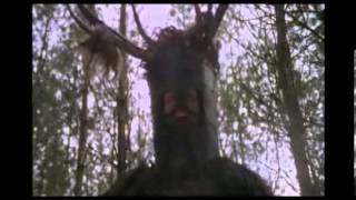 A Shrubbery !!!!