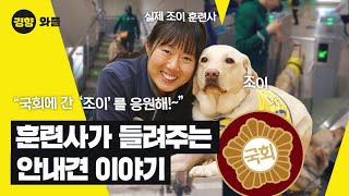 국회에 간 ‘조이’를 응원해! 훈련사가 들려주는 안내견 이야기 – 와플 | 안내견 훈련사 편