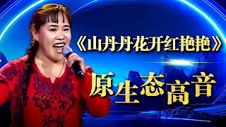 54岁大姐一曲《山丹丹花开红艳艳》惊艳评委，原生态高音太惊人，怎料竟是平时卖菜练出来的！【梦想起航】