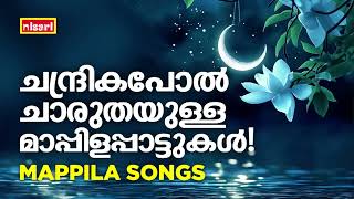 MAPPILA SONGS | Malayalam Mappila Songs | Nisari Mappila Pattukal | Pazhayamappila Songs