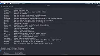 Meterpreter Basic Commands