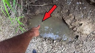 Biker stuck his hand in a puddle, and then the INCREDIBLE happened. The full version.