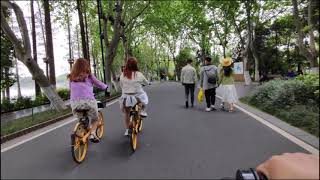 美如画的武汉东湖湿地公园真的超级适合骑行，有美女 | Cycling in Wuhan Donghu Wetland Park