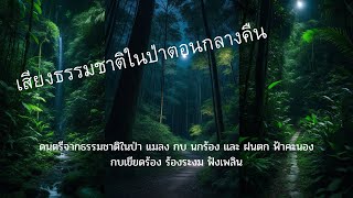 เสียงธรรมชาติในป่าตอนกลางคืน