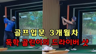 골프입문 3개월 독학 골린이 드라이버 샷