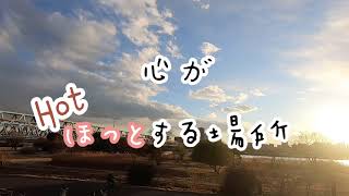 「第10回あだワン応募作品」心の癒しを求めて