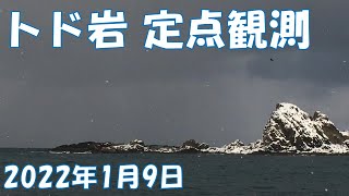 トド岩 定点観測　2022年1月9日