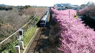 KEIKYU BLUE SKY TRAIN 2100形