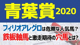 【青葉賞2020予想】“鉄板軸馬”と“激走期待の穴馬”を公開🐴