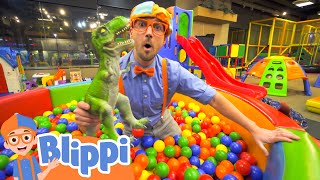 Blippi Visits an Indoor Playground! | Animals for Kids | Animal Cartoons | Learn about Animals