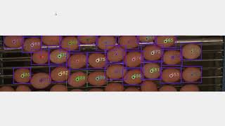 computer vision egg count