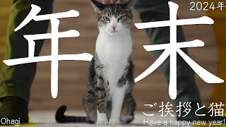 年末のご挨拶と猫【2024年】