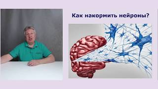 В поисках истины. Что такое церебропротекция и кому она нужна?